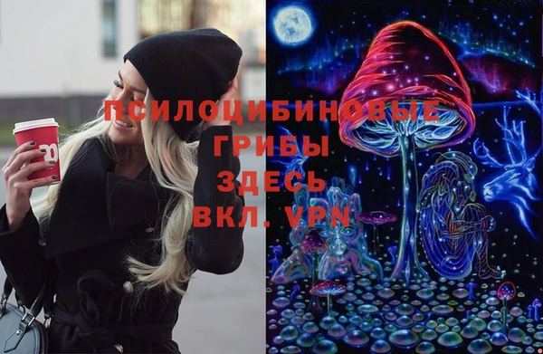 МДПВ Беломорск