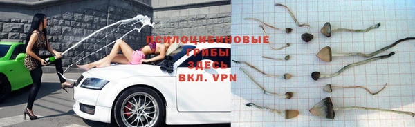 кокаин премиум Белокуриха