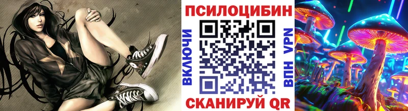 Галлюциногенные грибы Cubensis Буйнакск